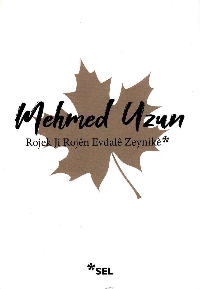 Uzun, Mehmed | En Dag av Evdale Zeynike (Kurdiska)