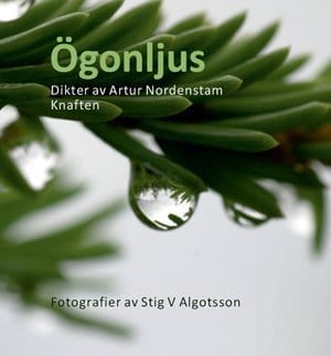 Algotsson, Stig V. | Ögonljus