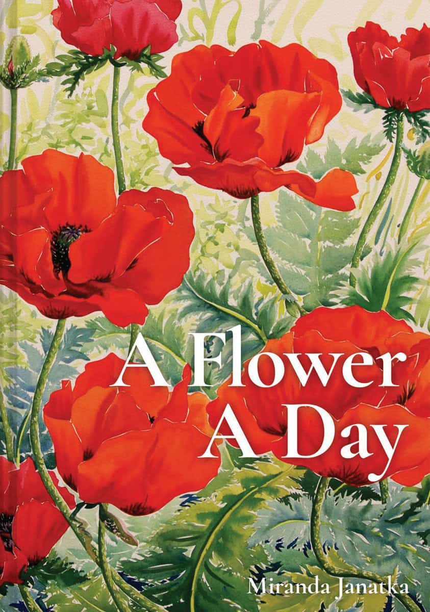 Miranda Janatka | A Flower A Day : Value, object or array expected.* Line 1, Column 2 Extra non-whitespace after JSON v...
