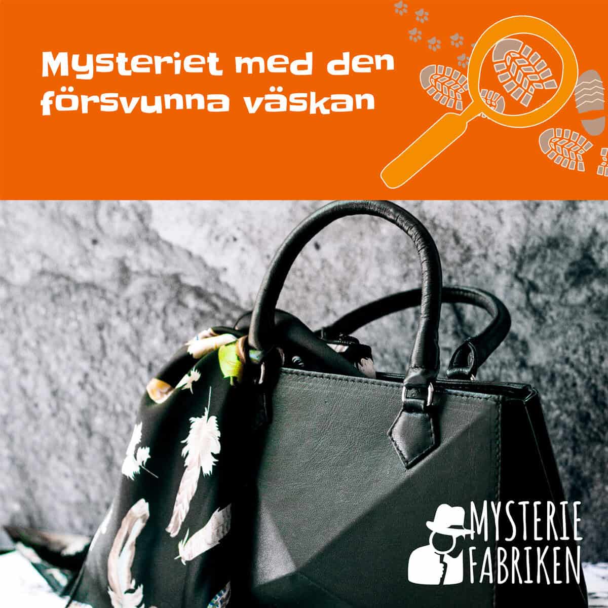 Cernold, Nina | Mysteriet med den försvunna väskan