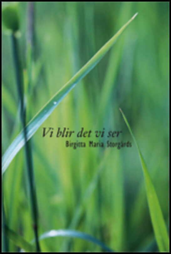 Storgårds, Birgitta Maria | Vi blir det vi ser : Kortprosa