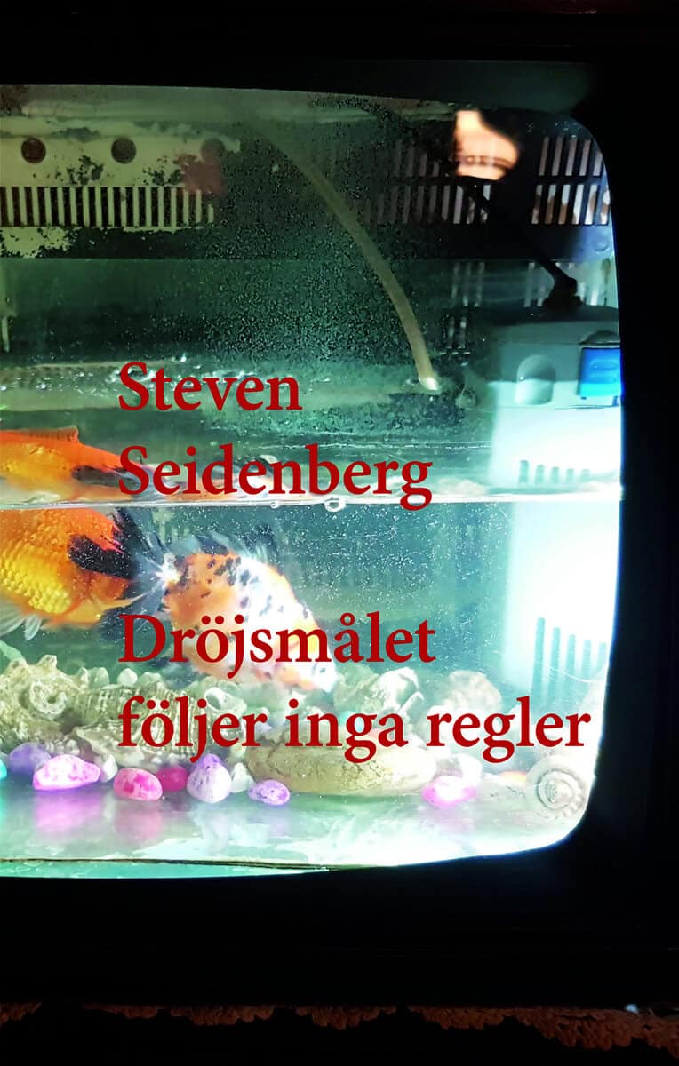 Seidenberg, Steven | Dröjsmålet följer inga regler