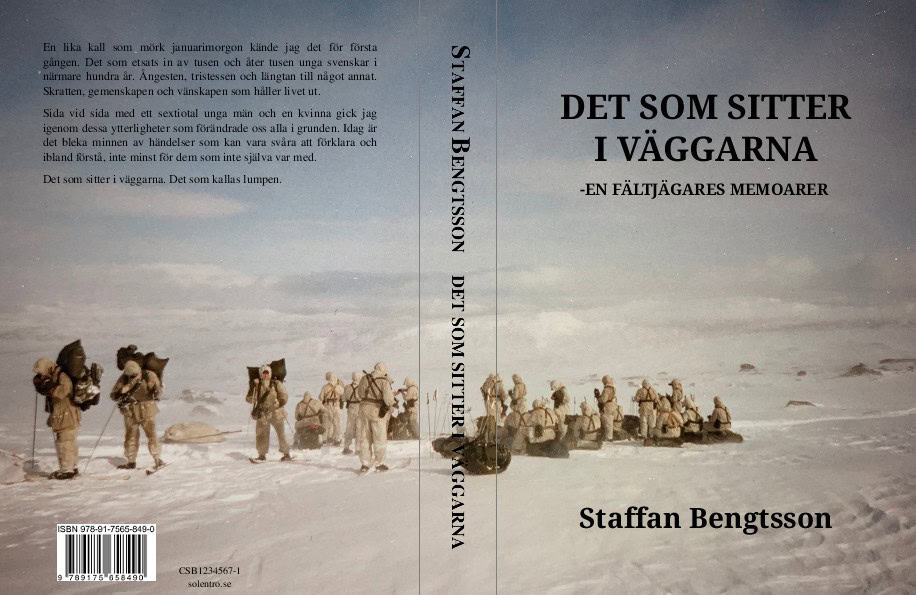 Bengtsson, Staffan | Det som sitter i väggarna