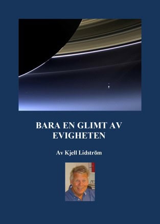 Lidström, Kjell | Bara en glimt av evigheten