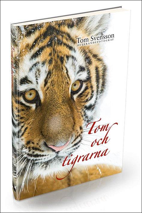 Svensson, Tom | Tom och tigrarna : Härliga bilder och lite fakta om tigrar