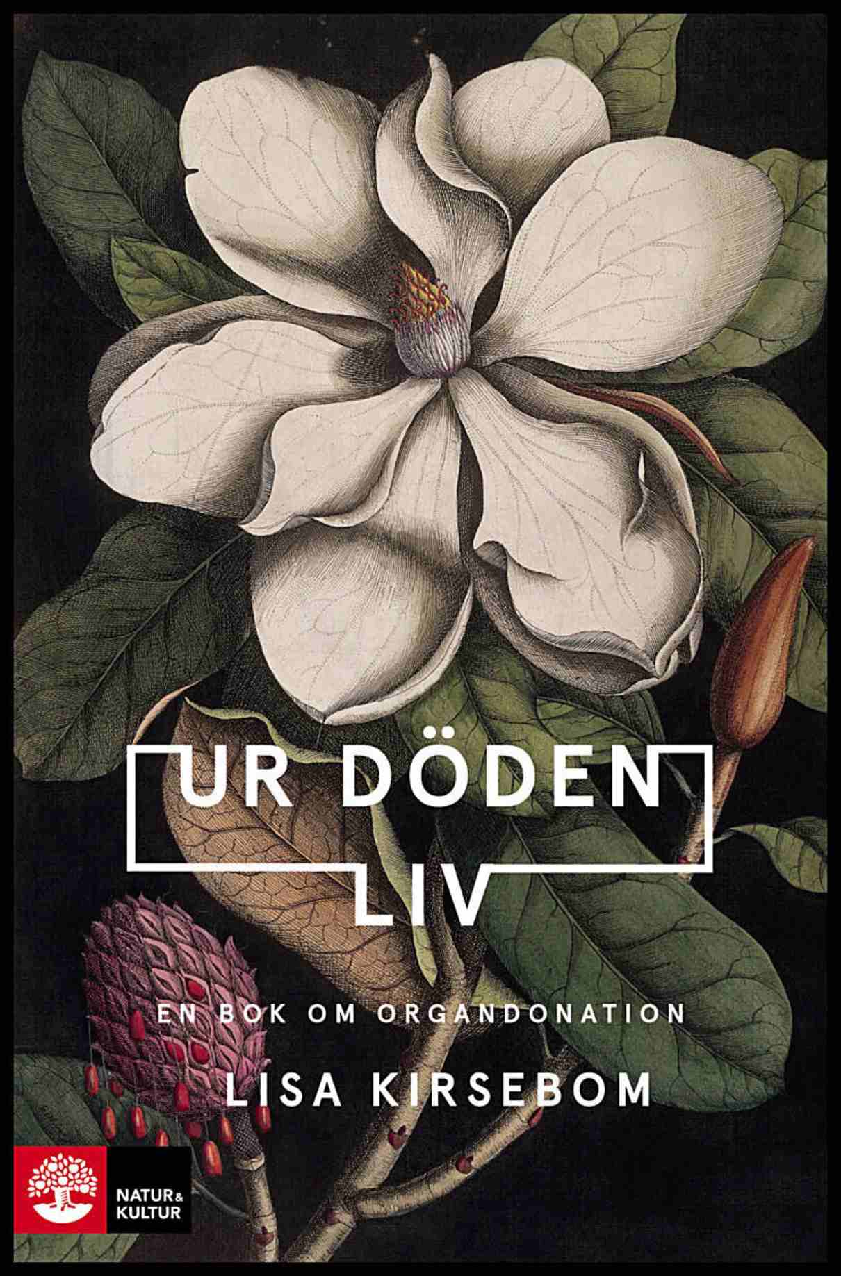 Kirsebom, Lisa | Ur döden liv : En bok om organdonation