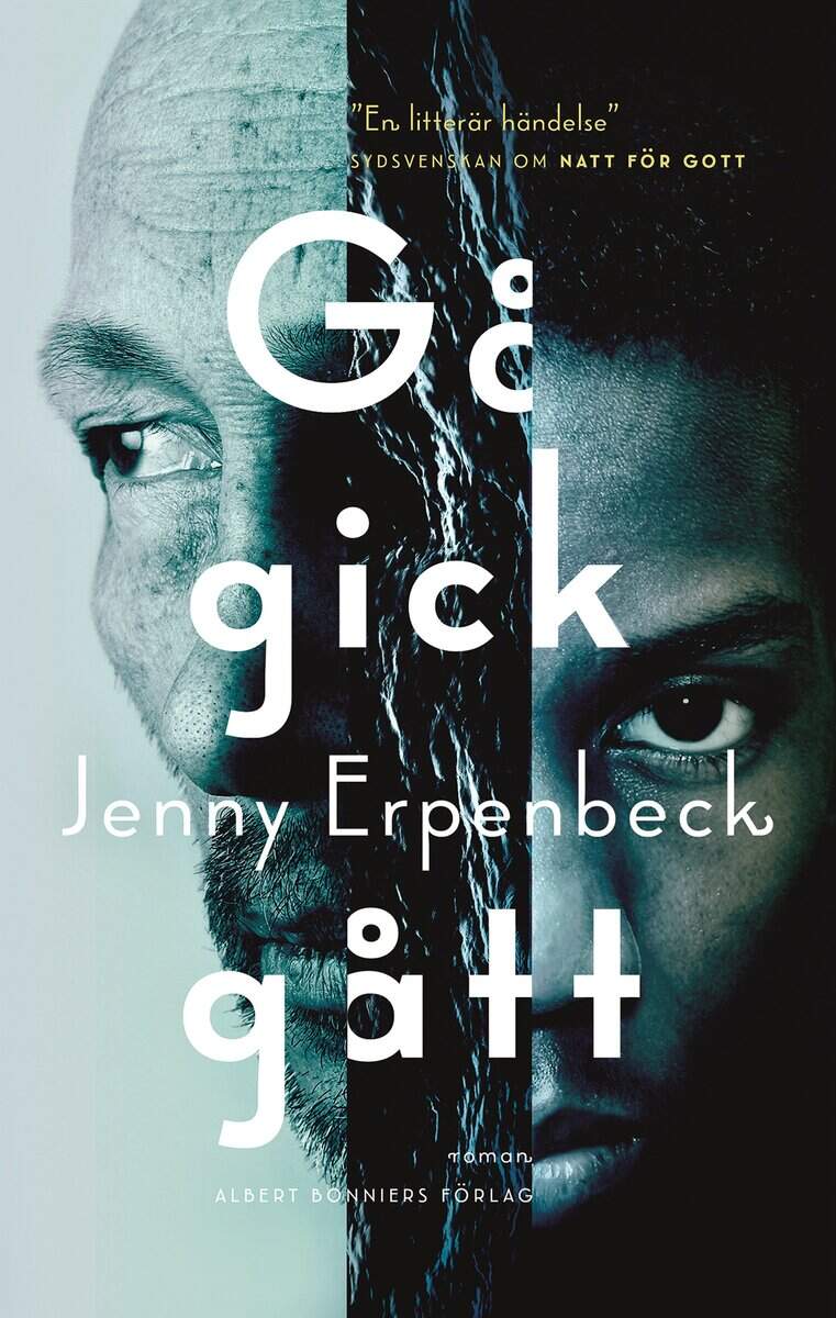Erpenbeck, Jenny | Gå, gick, gått