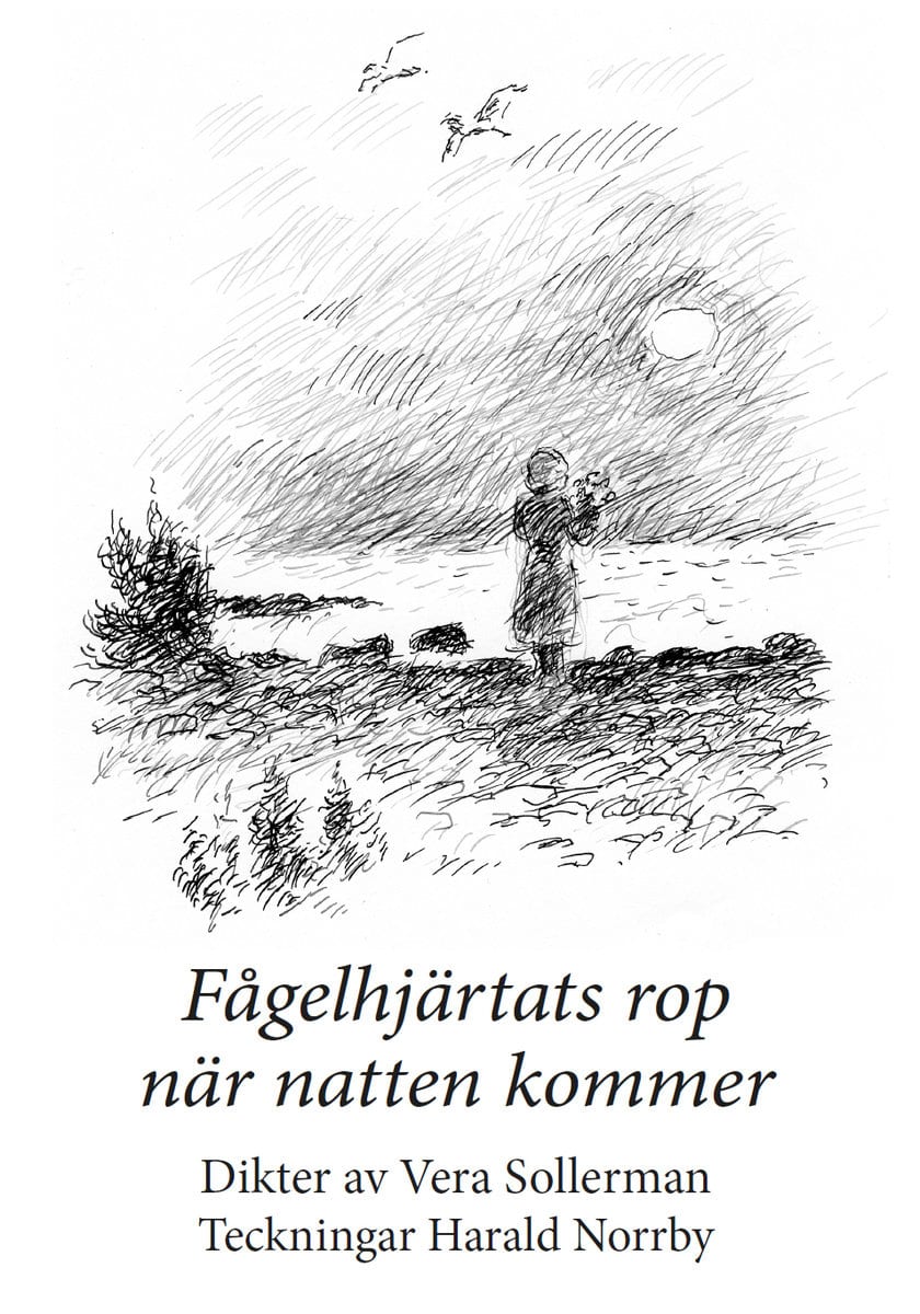 Sollerman, Vera | Fågelhjärtats rop när natten kommer