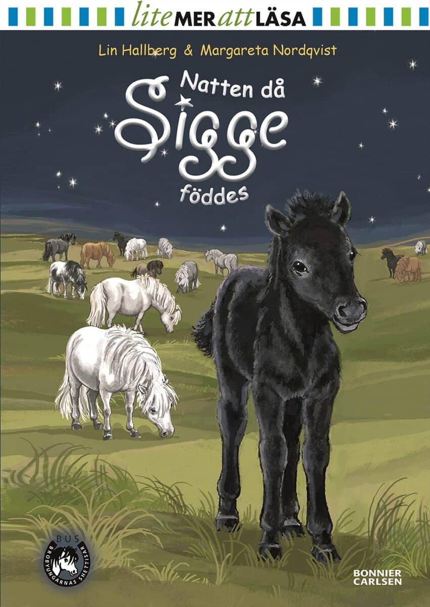 Hallberg, Lin | Natten då Sigge föddes