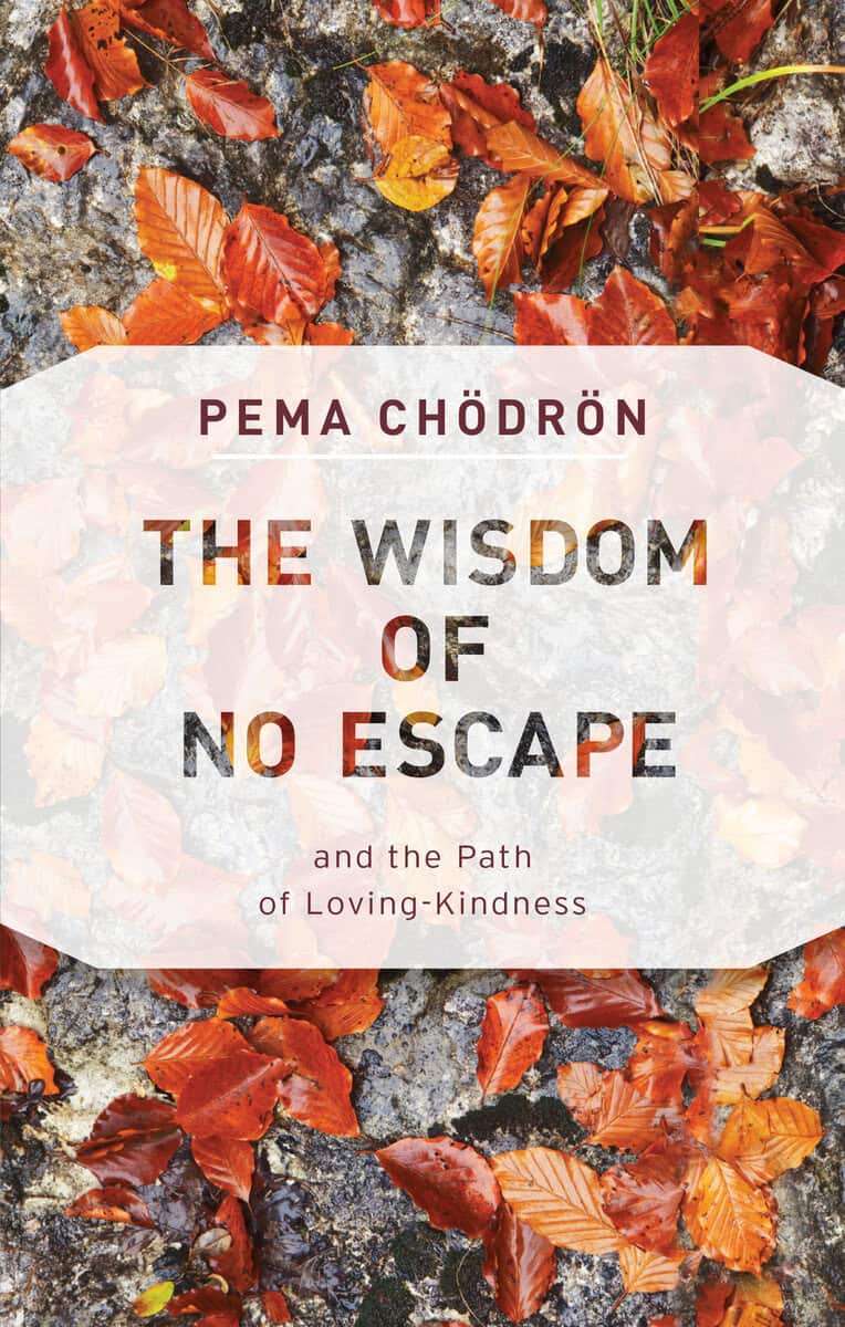 Chodron, Pema | The Wisdom of No Escape : Value, object or array expected.* Line 1, Column 2 Extra non-whitespace after...