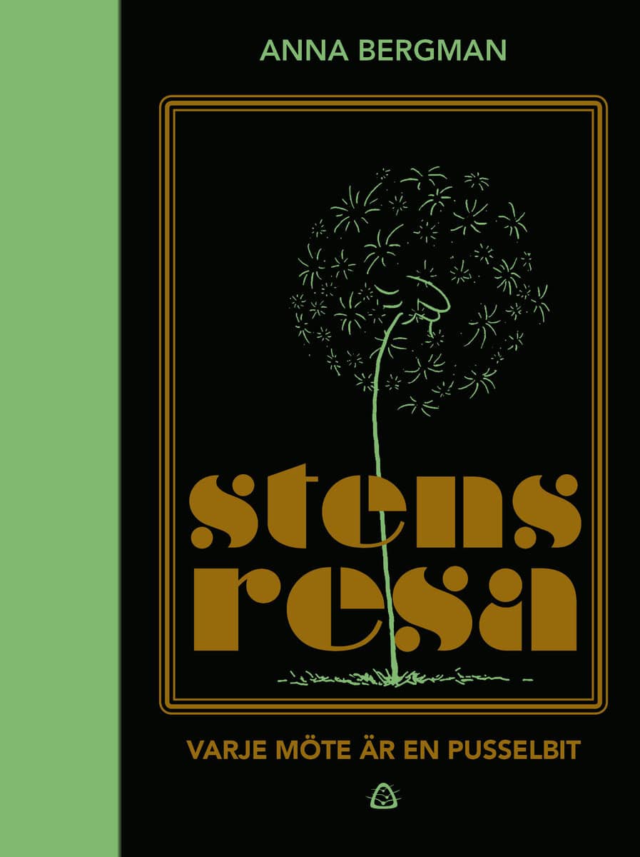 Bergman, Anna | Stens resa : Varje möte är en pusselbit