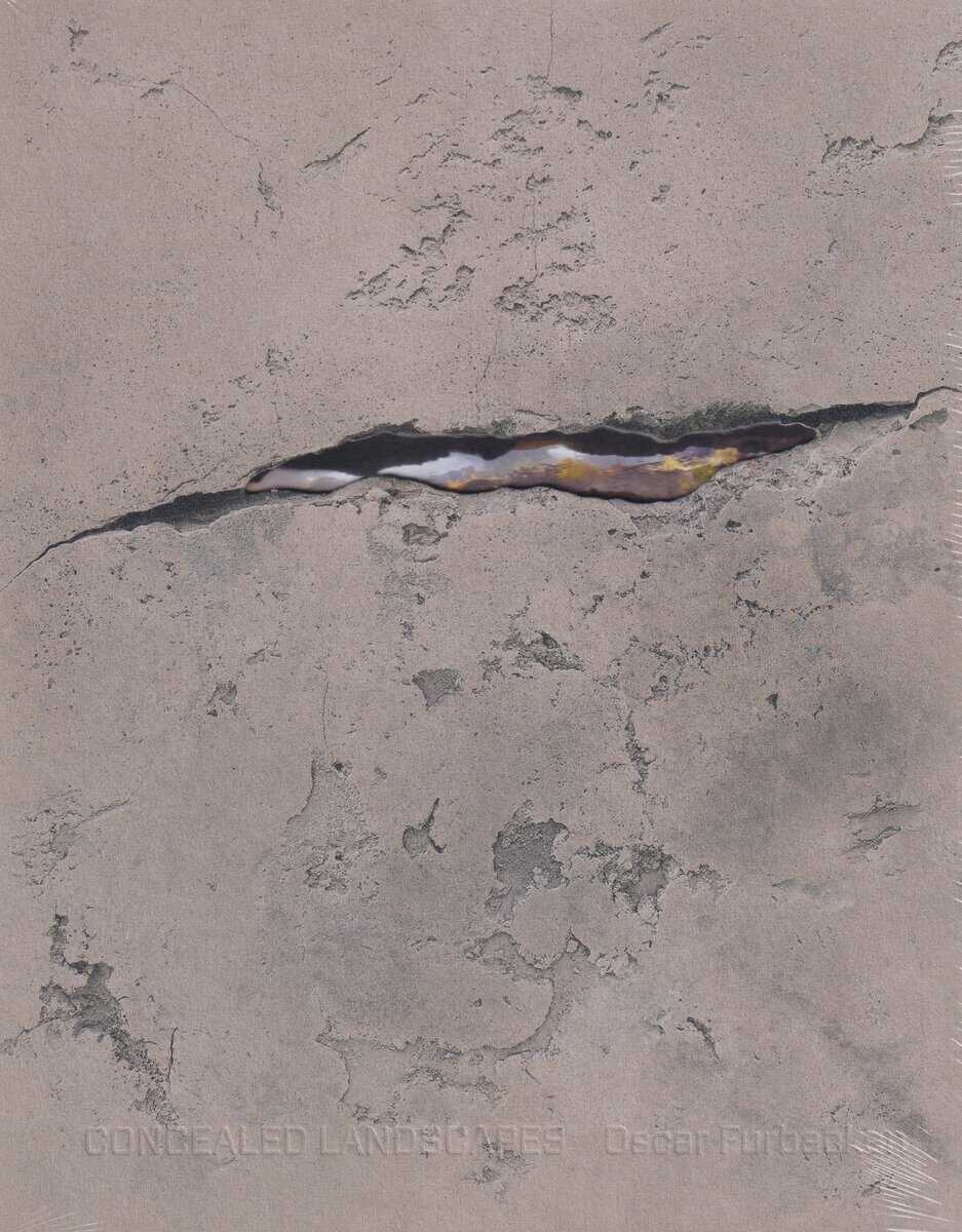 Furbacken, Oscar | Ravini, Sinziana | Olsson, Carl-Johan | Haga, Niklas | Paunu, Hanna | Concealed Landscapes