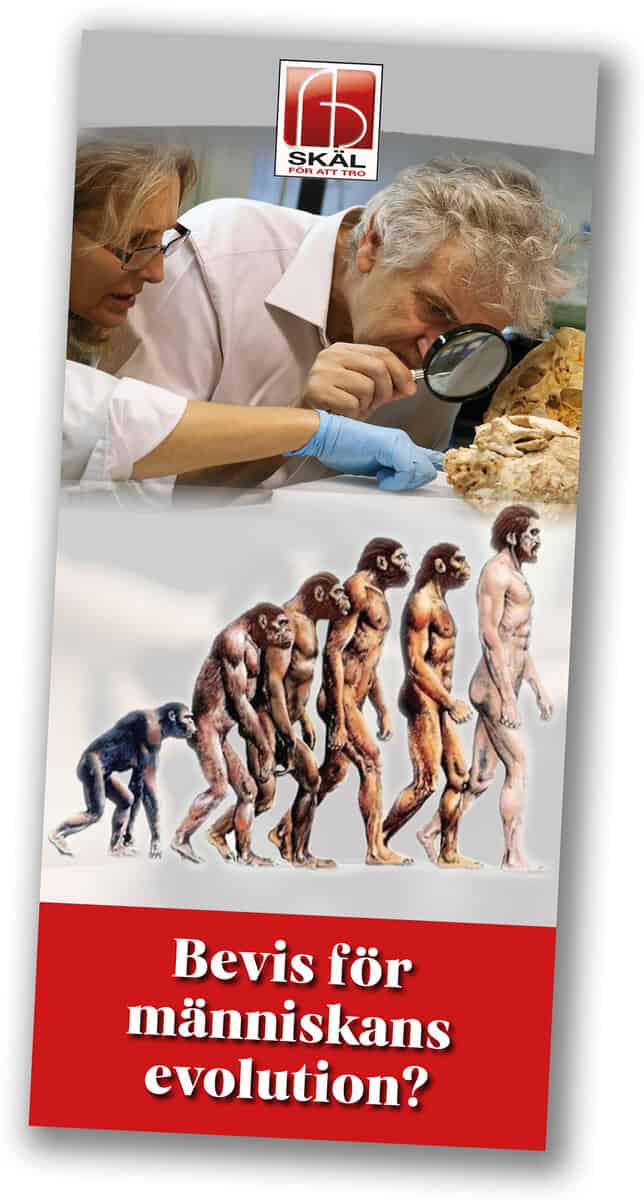Bergman, Johnny | Bevis för människans evolution?