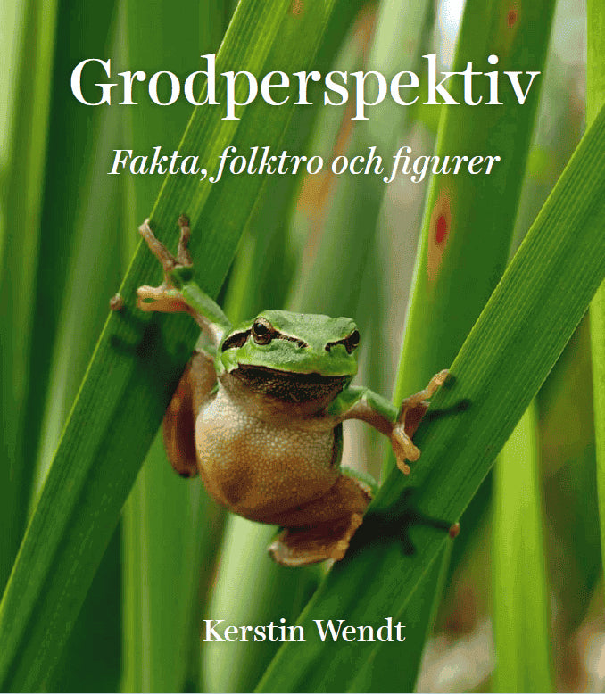 Wendt, Kerstin | Grodperspektiv : Fakta, folktro och figurer