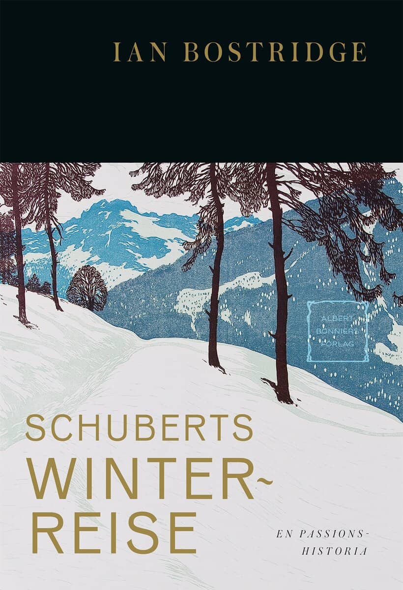 Bostridge, Ian | Schuberts Winterreise : En passionshistoria