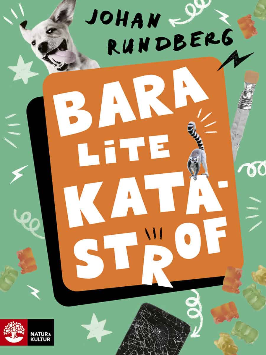 Rundberg, Johan | Bara lite katastrof
