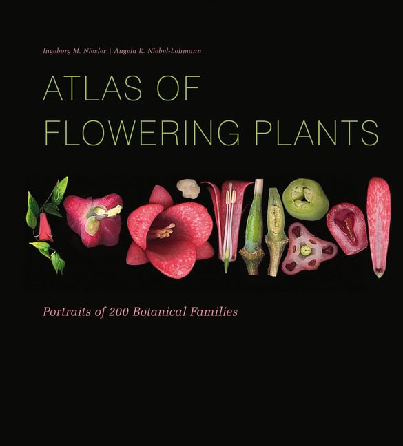 Niesler , Ingeborg M | Niebel-L, Angela K | Atlas Of Flowering Plants