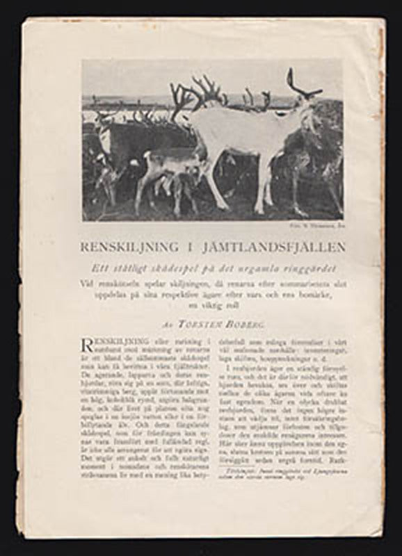 Boberg, Torsten | Renskiljning i Jämtlandsfjällen : Ett ståtligt skådespel på det urgamla ringgärdet