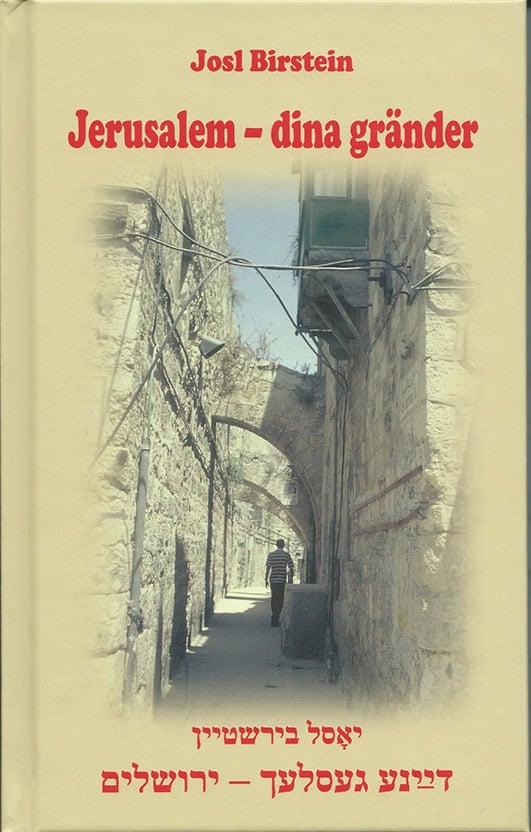 Birstein, Josl | Jerusalem : Dina gränder