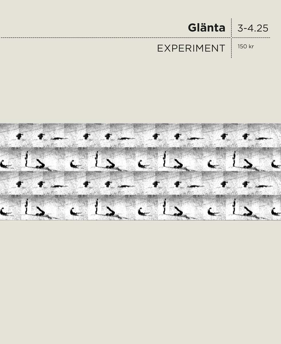 Aalto, Susanne | Bigert, Mats | et al | Glänta 3-4 (2025) Experiment