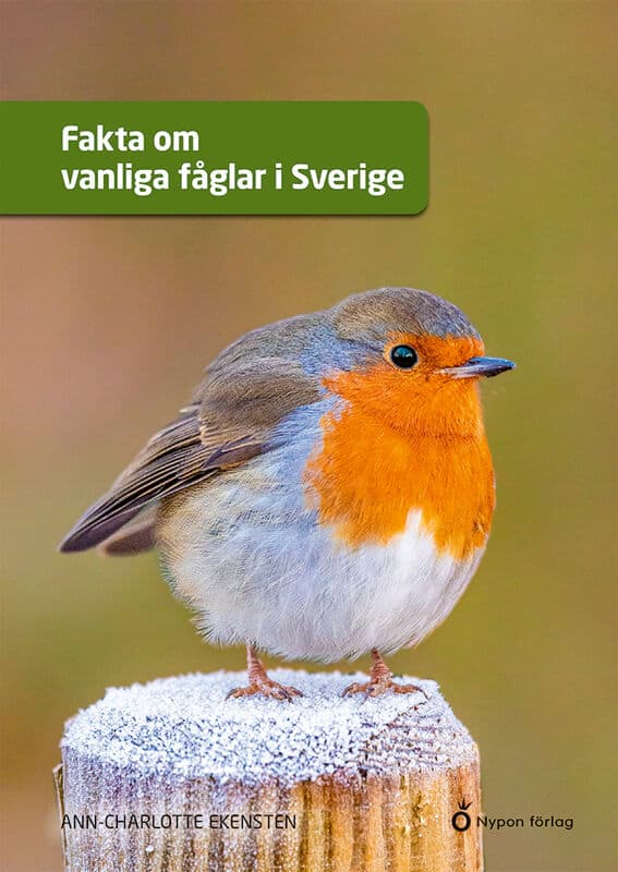 Ekensten, Ann-Charlotte | Fakta om vanliga fåglar i Sverige