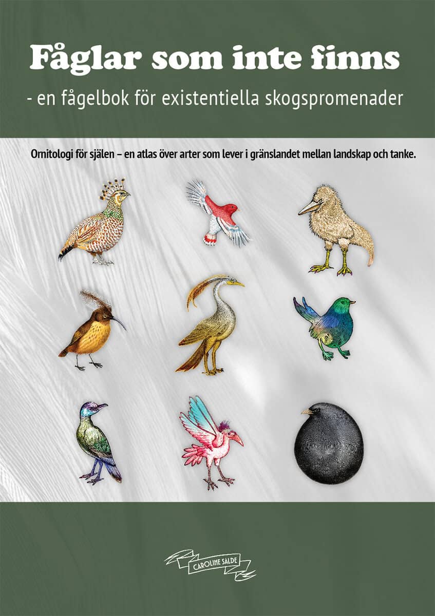 Salde, Caroline | Fåglar som inte finns : En fågelbok för existentiella skogspromenader
