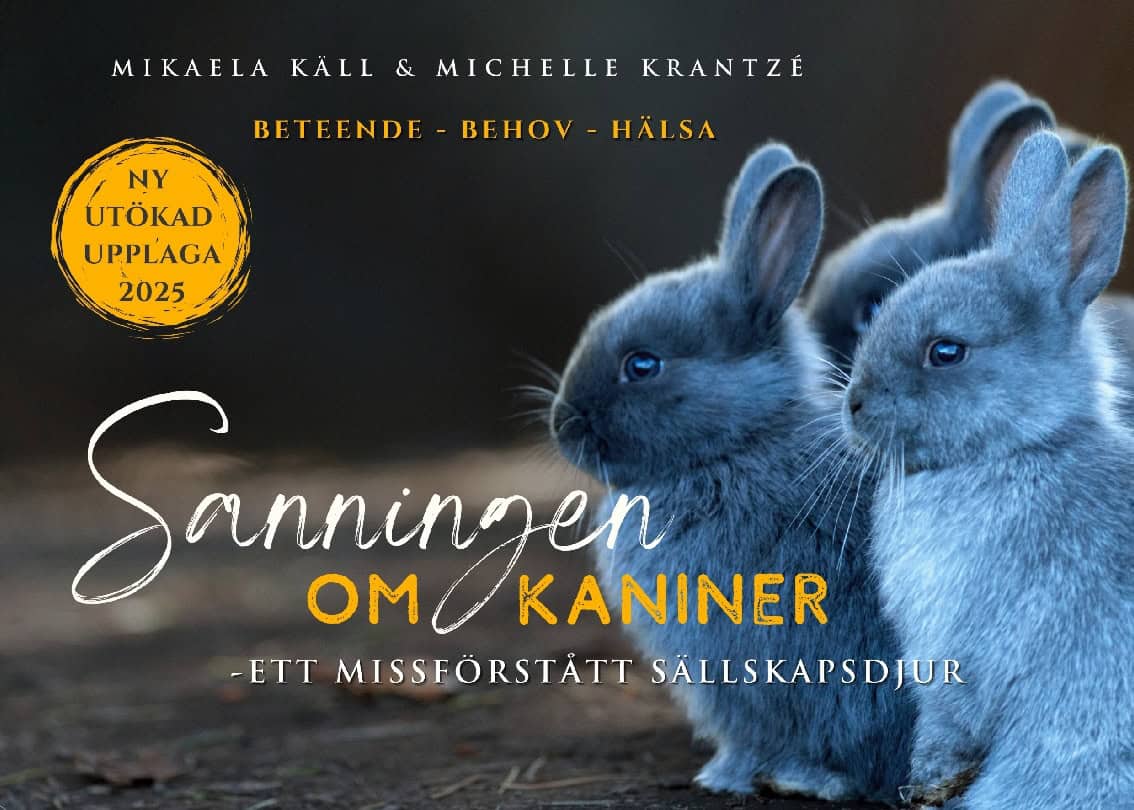 Käll, Mikaela | Krantzé, Michelle | Sanningen om kaniner : Ett missförstått sällskapsdjur