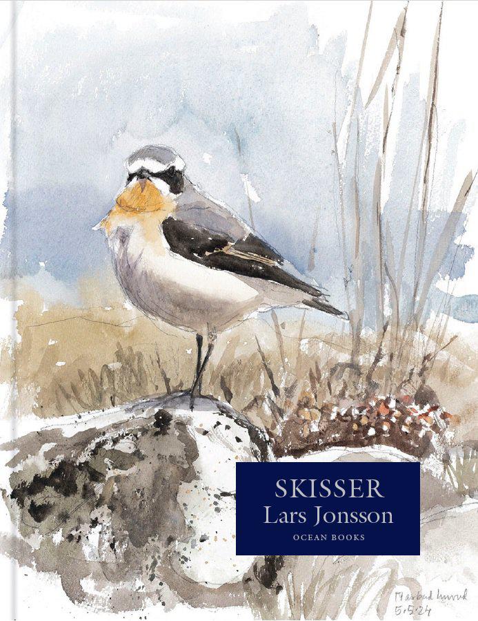Jonsson, Lars | Skisser