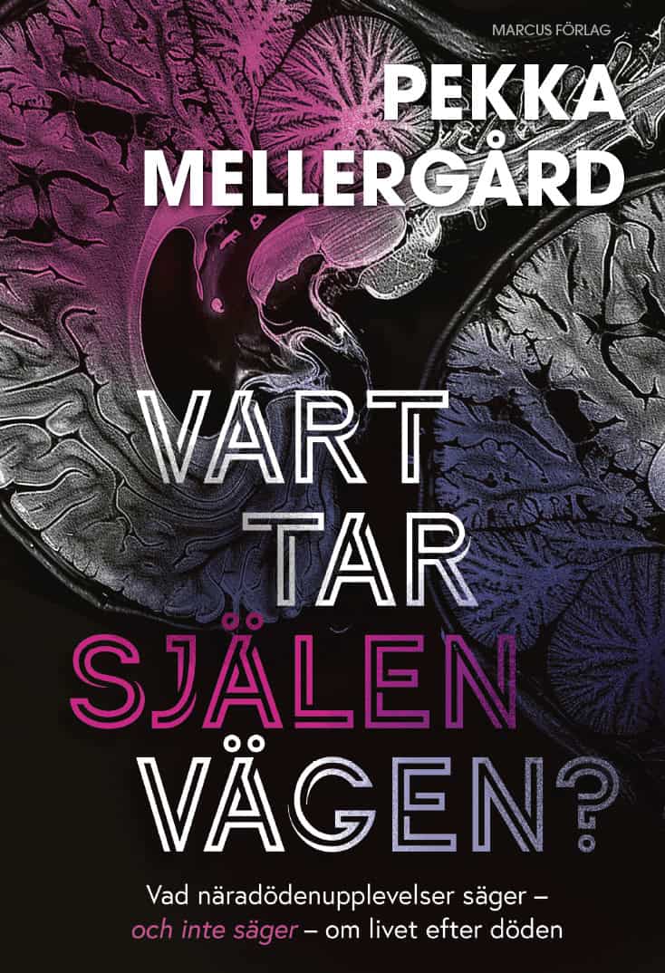 Mellergård, Pekka | Vart tar själen vägen? : Vad näradödenupplevelser säger – och inte säger – om livet efter döden