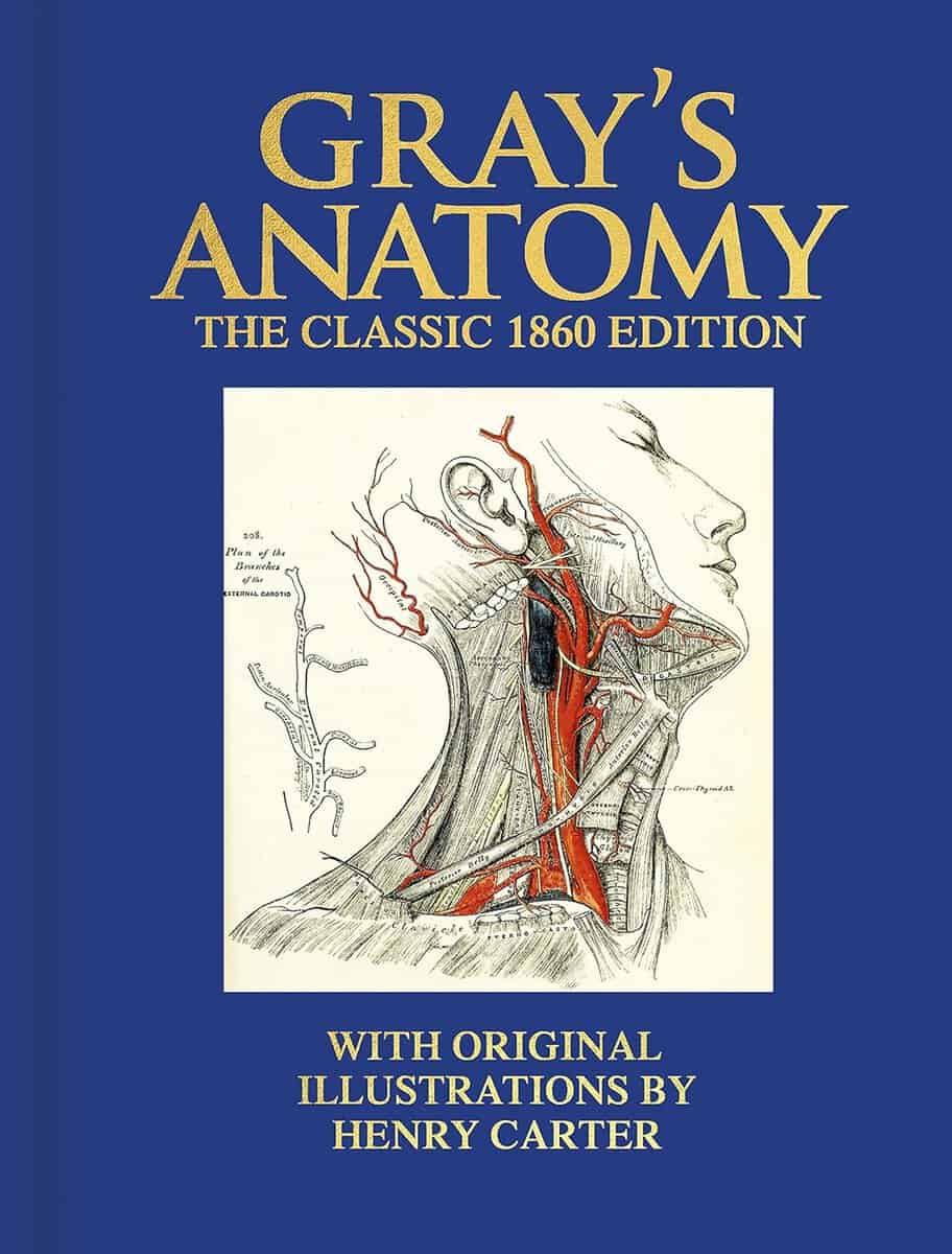 Gray, Henry | Gray's Anatomy