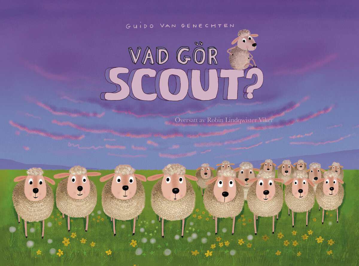 van Genechten, Guido | Vad gör Scout?