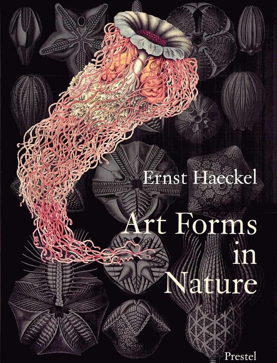 Hartmann, Richard | Art forms in nature : Prints of ernst haekel