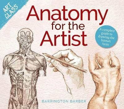 Barber, Barrington | Art Class : Anatomy for the Artist