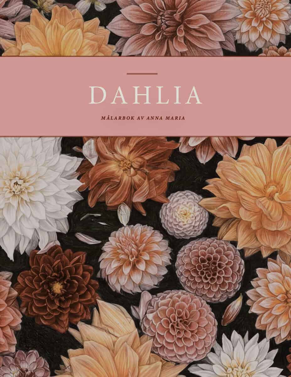 Setterby Angefred, Anna Maria | Dahlia nature's wonder : Pink edition