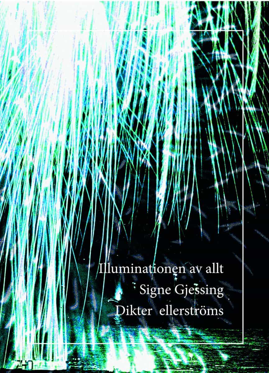 Gjessing, Signe | Illuminationen av allt