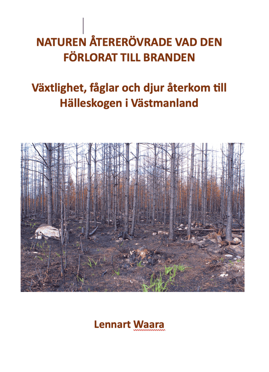 Waara, Lennart | Naturen återerövrade vad den förlorat till branden. Växtlighet, fåglar och djur återkom till Hälleskoge...
