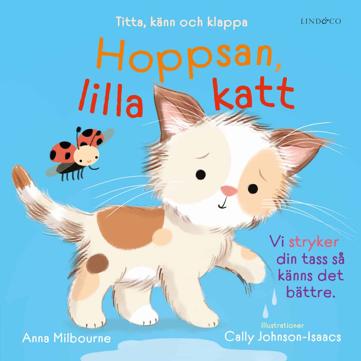 Milbourne, Anna | Hoppsan, lilla katt : Titta, känn och klappa