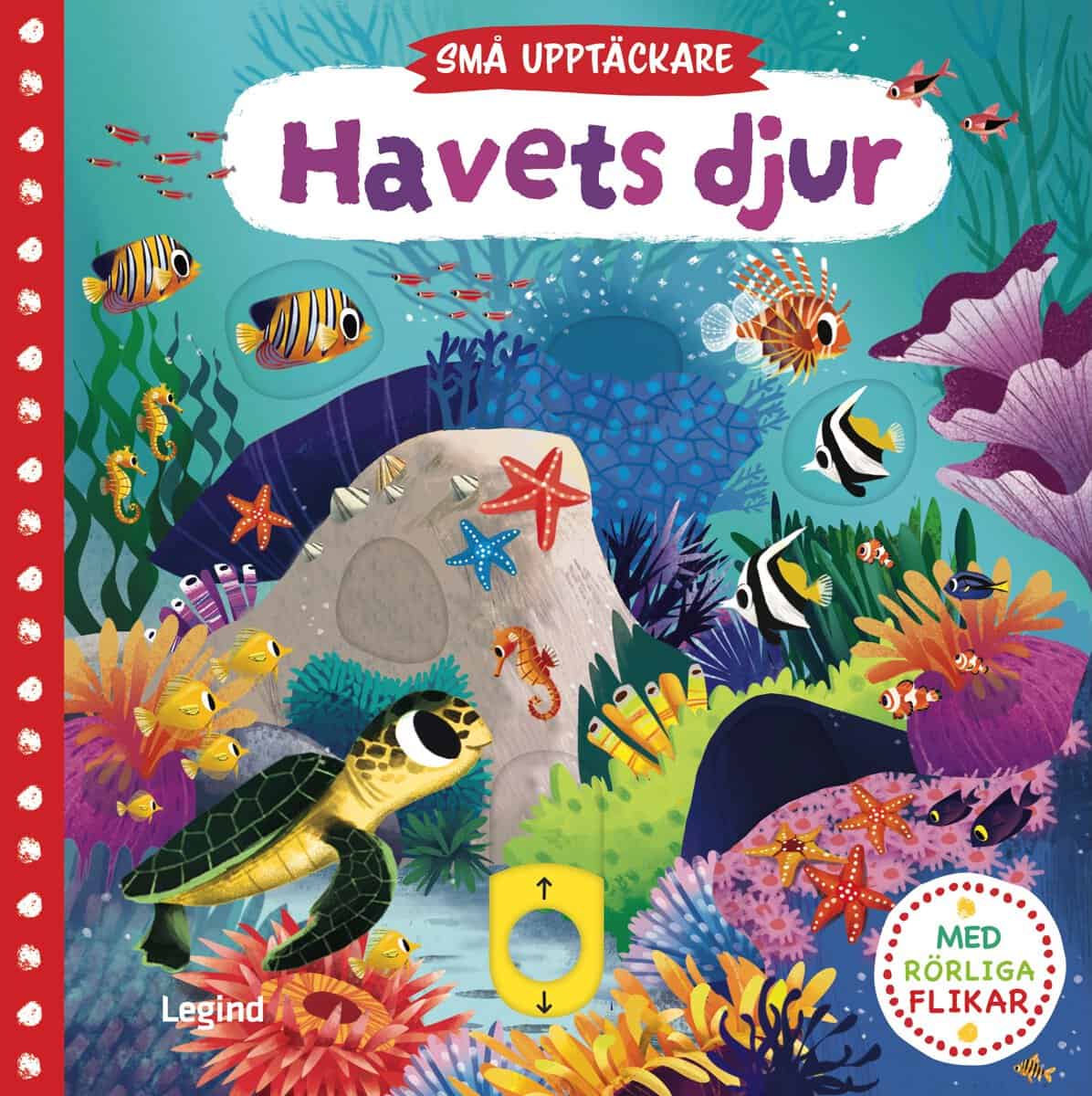 Books, Campbell | Havets djur : Med rörliga flikar