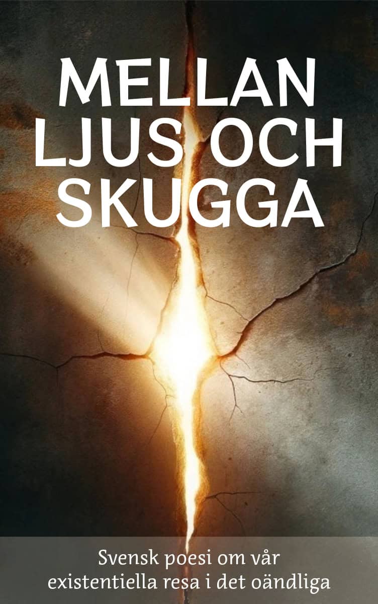 Appelskog, Julia | Mellan ljus och skugga : Svensk poesi om vår existentiella resa i det oändliga