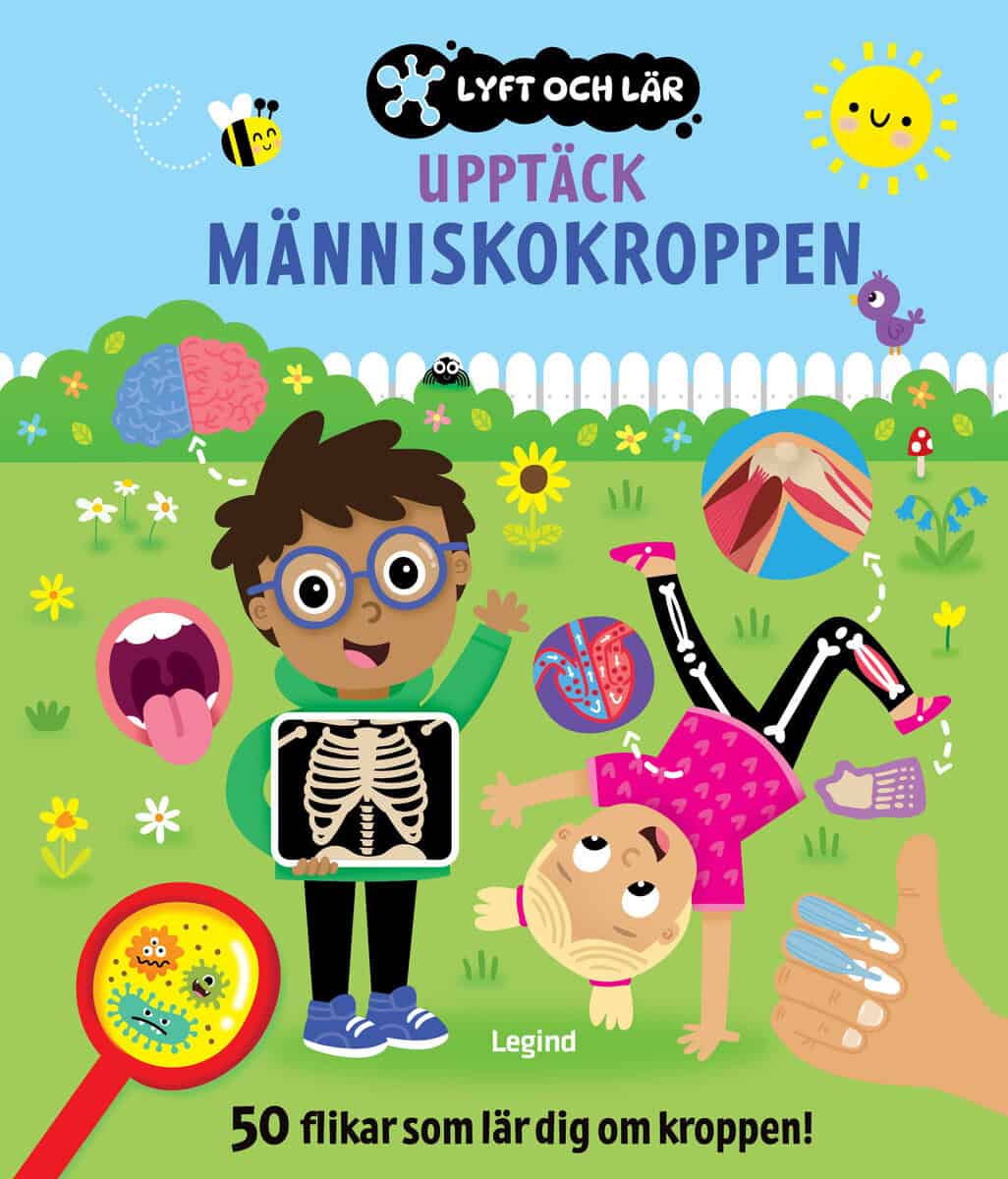 Upptäck människokroppen : 50 flikar som lär dig om kroppen