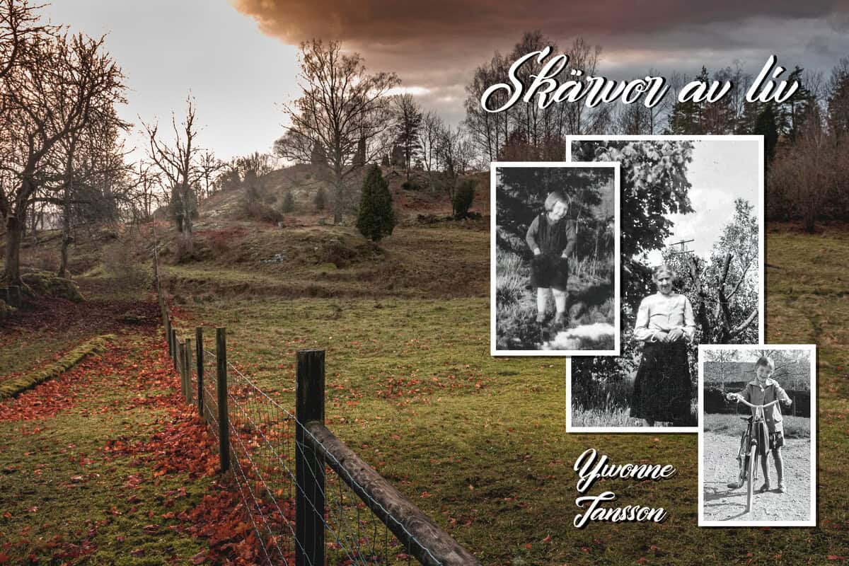 Jansson, Ywonne | Skärvor av liv