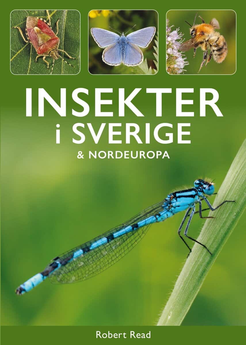 Read, Robert | Insekter i Sverige & Nordeuropa