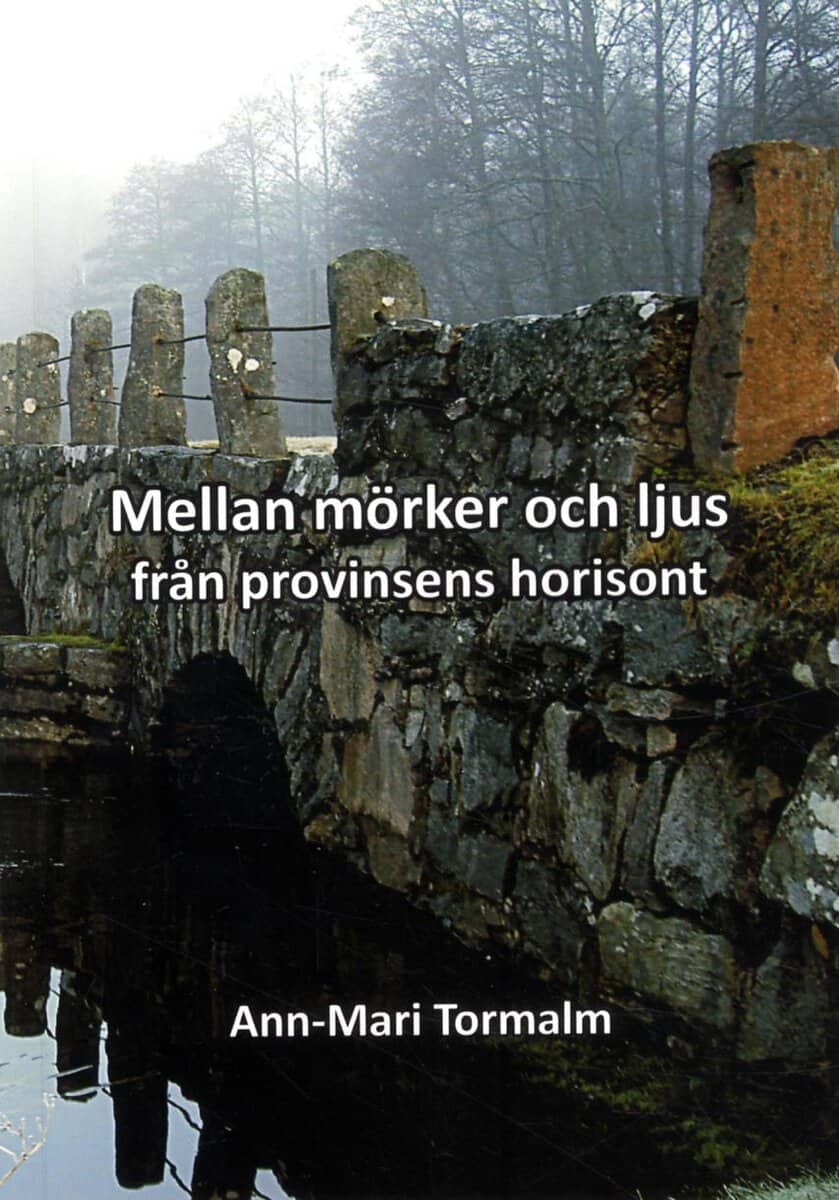 Tormalm, Ann-Mari | Mellan mörker och ljus : Från provinsens horisont