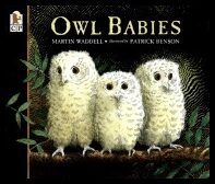 Waddell, Martin | Owl Babies