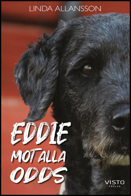 Allansson, Linda | Eddie mot alla odds