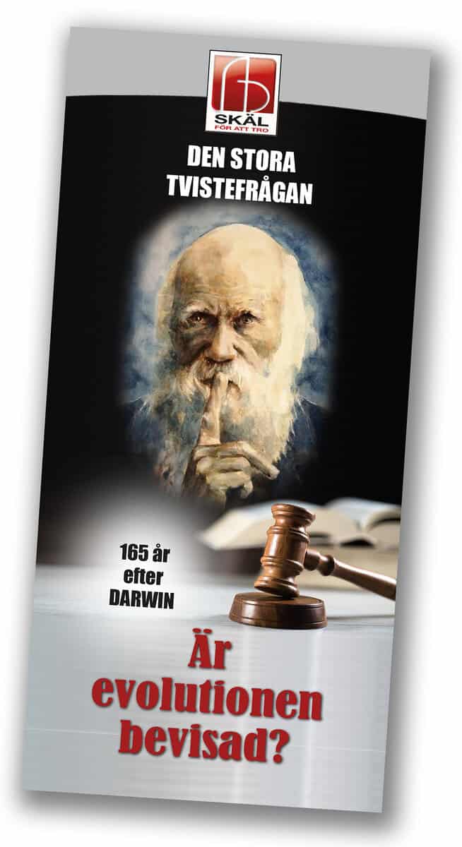 Bergman, Johnny | Är evolutionen bevisad?