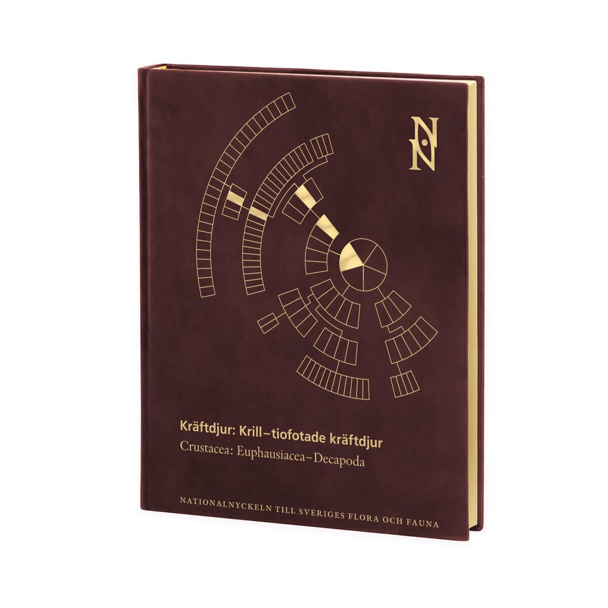 Berggren, Matz | Kräftdjur : Krill-tiofotade kräftdjur. Crustacea: Euphausiacea–Decapoda