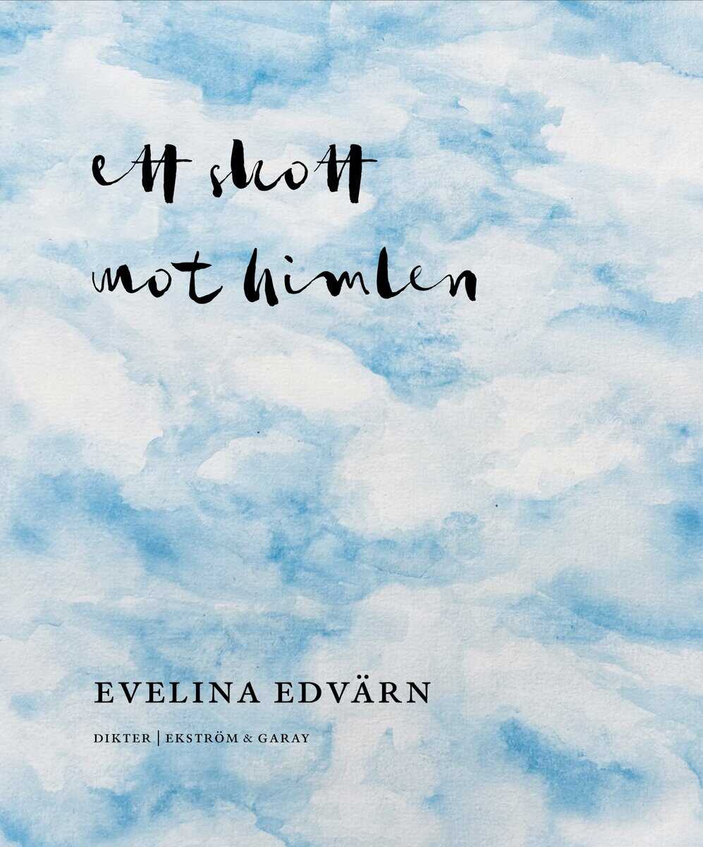 Edvärn, Evelina | Ett skott mot himlen