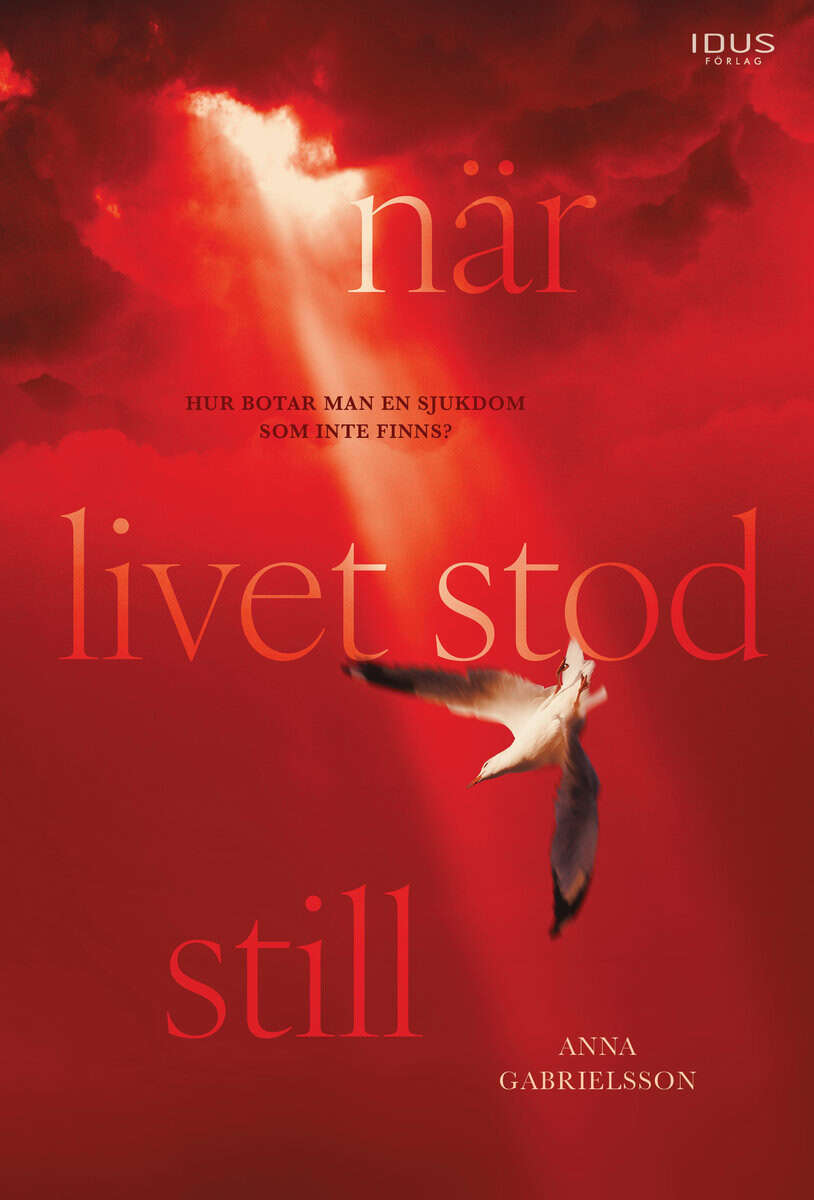 Gabrielsson, Anna | När livet stod still