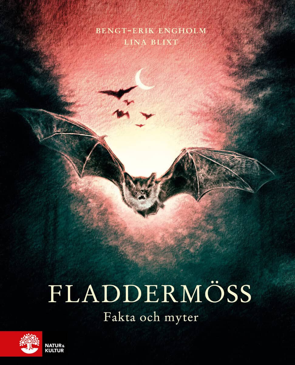 Engholm, Bengt-Erik | Fladdermöss : Fakta och myter